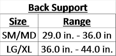 iGO Back Support, Black, Large/X-Large