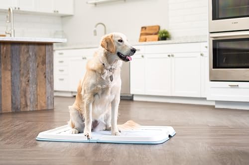 IRIS-USA-Pee-Pad-Holder-XL-Marking-and-Leg-Lifting-Dog-Pad-Holder-Foldable-Secured-Latches-Non-Skid-Rubber-Feet-High-Polish-Finish-for-Easy-Cleaning-Fits-23×35-Pad-or-Larger-Blue IRIS USA Pee Pad Holder XL Marking and Leg Lifting Dog Pad Holder Foldable Secured Latches Non Skid Rubber Feet High Polish Finish for Easy Cleaning Fits 23×35 Pad or Larger Blue