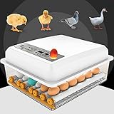 InLoveArts Incubadora de 16 Huevos Nacedora automática Digital con Control de Temperatura/Giro automático para incubar Huevos de Pollo de Pavo/Pato/Ganso/codorniz