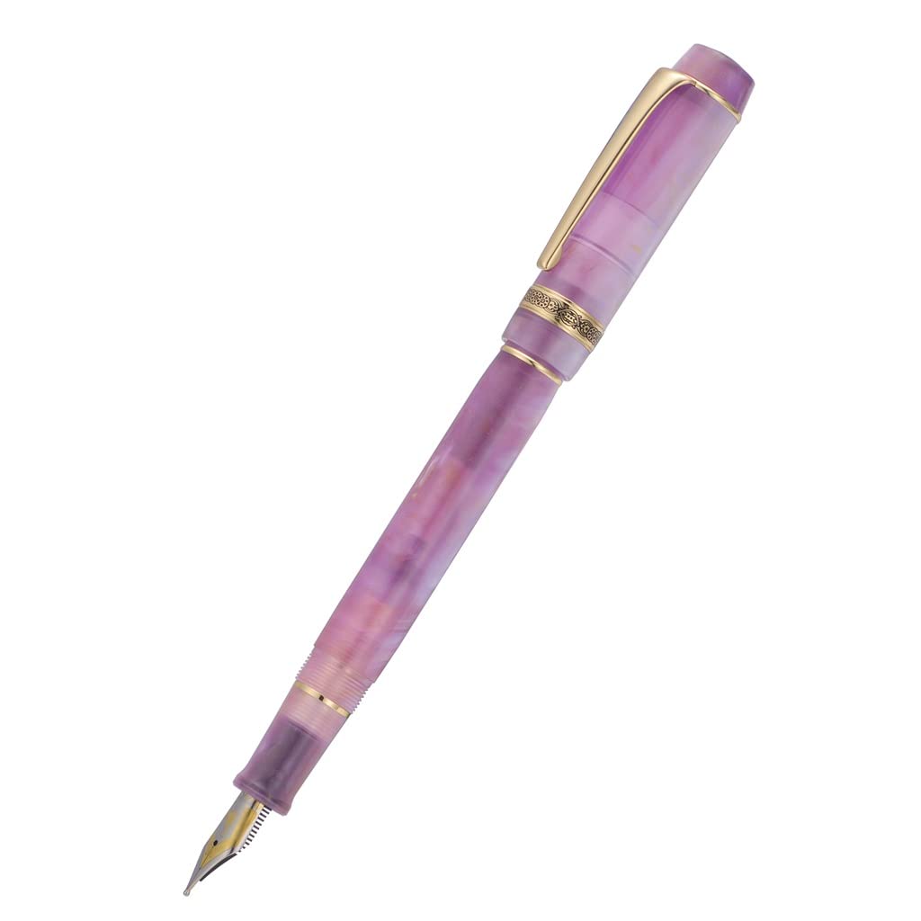 Stylo plume, belle lumière F/plume encre d'écriture bureau école