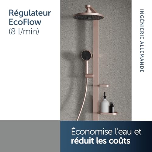 Pomme de douche avec deux types de jets Idealrain Alu+ 100mm - 4
