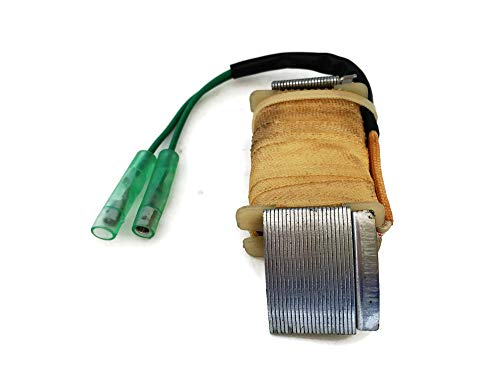 Bobine d'allumage T15-04000300 pour moteur hors-bord Parsun Makara 9.9HP 15HP 2 temps
