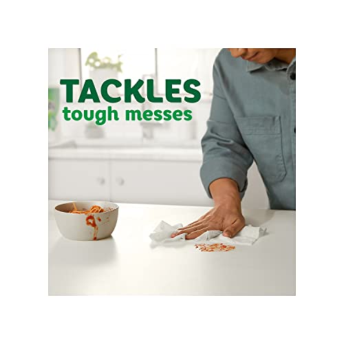 Image of Bounty Towel,Trip RL,6PK