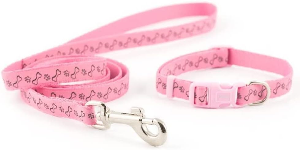 Refl Paw & Bone Collar & Lead