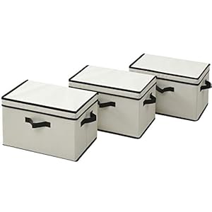 【再開】山善 どこでも 収納ボックス ふた付き 幅38×奥行25×高さ25cm 3個組 YNF-3PF 1,000円（333.3円/個）！プライム会員は送料無料！