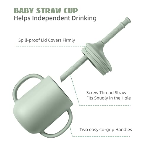 Csficts Baby Led Weaning Supplies - Silicone Baby Feeding Set - Suction Bowl Divided Plate Straw Sippy Cup - Toddler Self Feeding Eating Utensils Dishes Set With Bibs Spoon Fork - 6 Months #TOP4