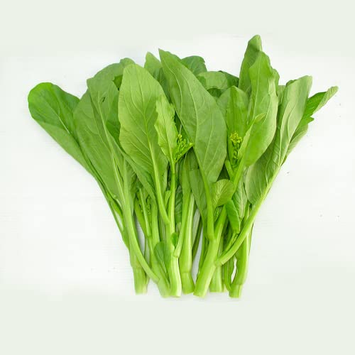 Choy Sum Seeds Brassica Integrifolia Gunsho Asian Green Seeds CAI Ngot Non-GMO Seeds (3000)