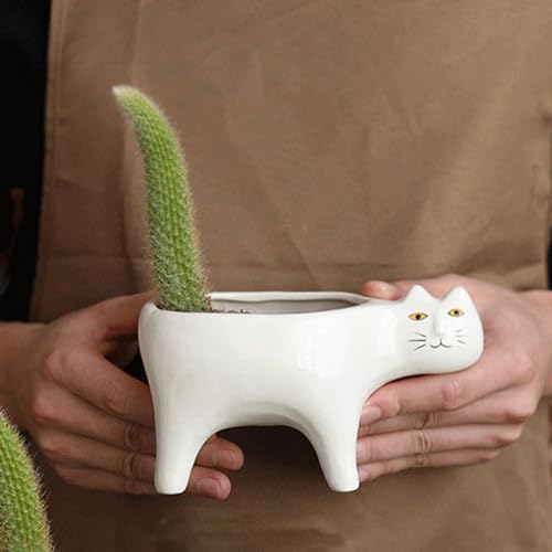 Cactus succulent pour le bureau pot de bonsaï chat en céramique robuste - 7