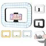 NANBEITONG Phone Light with 47 RGB Colors,Handheld Stabilize Ring Light with 8000mAh, Ring Light for Phone Selfie Recording YouTube and TikTok Content,luz para grabar Smartphone Video Rig
