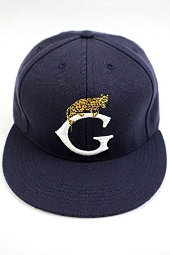 Amazon.co.jp: Acapulco Gold (acapulco 