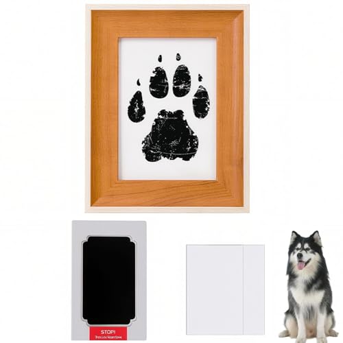 Lifetips AXJE}~[g ybgp  X^v Lbg ^  ``X^v `쐬Lbg LO  Ȃ `    ` ^ ȒP S y Ճpbh IWi vg ] A