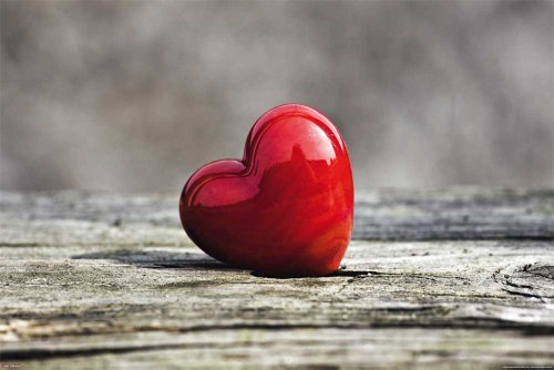 Empire Merchandising GmbH 569158 - Póster, Color Multicolor