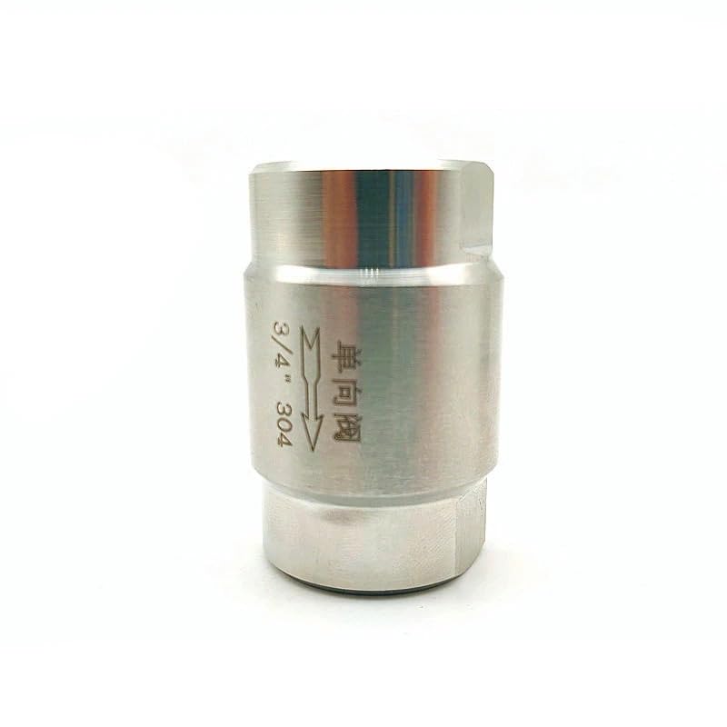 1PC 304 in acciaio inox ad alta pressione One Way valvola 1-0,2 "6.4Mpa filettatura maschio valvola di ritegno