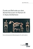 Funde Und Befunde Aus Dem Schachtbrunnen Im Hamam III in Ayasuluk/Ephesos: Eine Schamanistische Bestattung Des 15. Jahrhunderts 3700167636 Book Cover