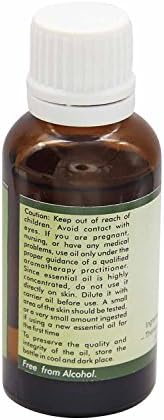 R V Essential Copaiba Essential Oil | Copaifera Officinalis | For Skin | 100% Pure Natural | Steam Distilled | Therapeutic Grade | 30ml | 1.01oz By R V Essential