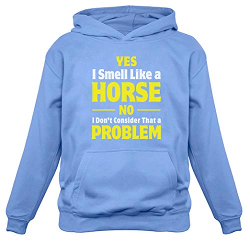 Tstars Smell Like a Horse Funny Gift for Horse Lover Riding Women Hoodie