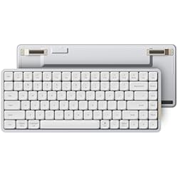 Amazon.com: LOFREE Flow84 Low Profile Mechanical Keyboard, 75