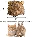 HAICHEN TEC Bunny Wig Lion Mane Halloween Cosplay Hat Adjustable Pet Hat Lion Hair Cap Headwear for Small Animal Cat Rabbit Guinea Pig Dog Photo Shoot (S)