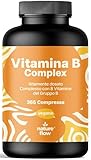 Vitamina B Complex – 365 Compresse – Complesso Vitamina B (B1, B2, B3, B5, B6, B7, B9, B12) con Co-Fattori Colina & Inositolo, Altamente Dosato, Vegano – Prodotto in Germania – Vitamine Gruppo B