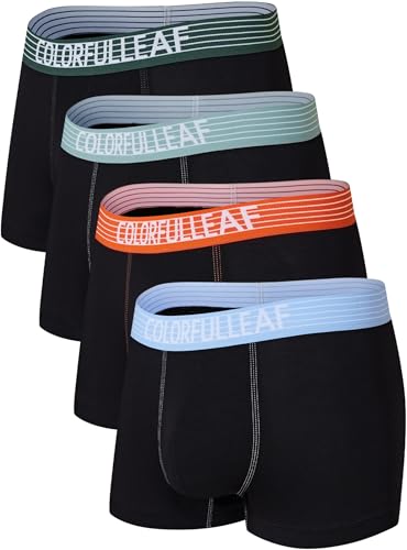 COLORFULLEAF Mens Underwear Soft Rayon Made From Bamboo Boxer Briefs Mens Short Leg Quick Dry Travel Underwear (4D,XL)