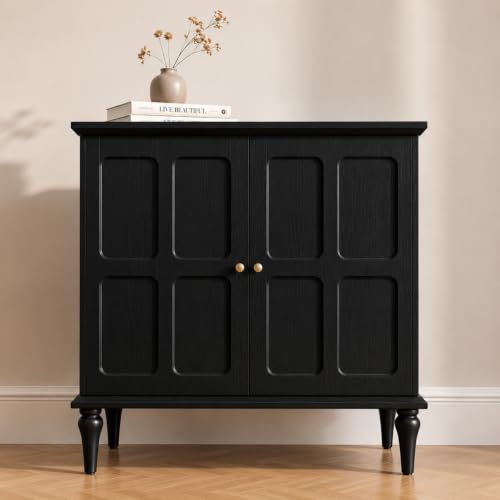 Black Mid-Century Cabinet with Adjustable Shelves
