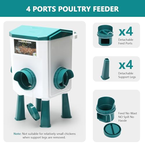 Conjunto de alimentador e bebedouro automático de frango, acessórios para galinheiro, alimentador de