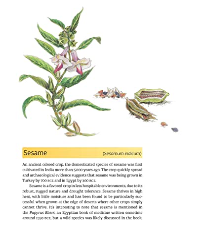 The Complete Guide to Seed and Nut Oils: Growing, Foraging, and Pressing