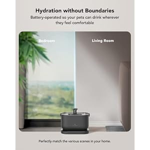 Petlibro Cat Water Fountain Wireless Pet Fountain Battery Operated 25l84oz Dockstream Automatic Dog Water Dispenser for Drinking with Quiet Pump Inside Stainless Steel Tray Easy Clean Bpafree  Cucciolini Doodles Petlibro cat water fountain wireless pet fountain battery operated 2 5l84oz dockstream automatic dog water dispenser for drinking with quiet pump inside stainless steel tray easy clean bpa free   cucciolini doodles