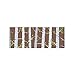 Creative Teaching Press Woodland Friends Birch Trees Border (8389)