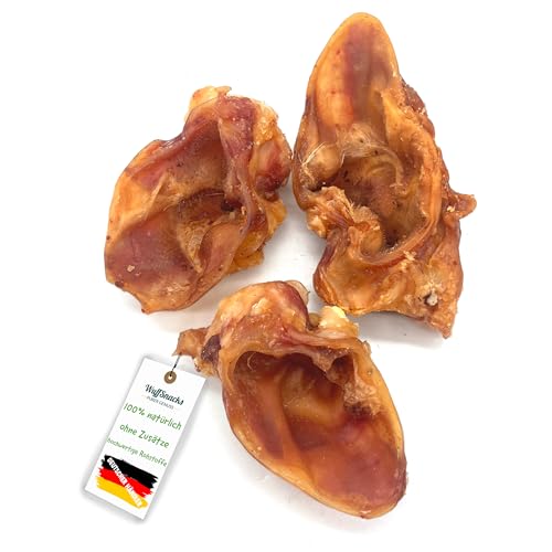 Schweineohrmuscheln für Hunde getrocknet | 1 kg | 100% Schwein | natürlich und hochwertig | Kauartikel zur Zahnpflege | Leckerli von Wuffsnacks