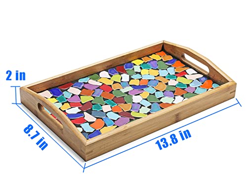 Lanyani DIY Mosaic Tiles Kit for Crafts for Adults Beginners,Make Your Own Artistic Glass Mosaic Serving Tray, DIY Handmade Decorative Colorful Ceramic Tiles Project