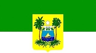 U24 Motorradflagge Rio Grande do Norte Fahne Flagge 20 x 30 cm