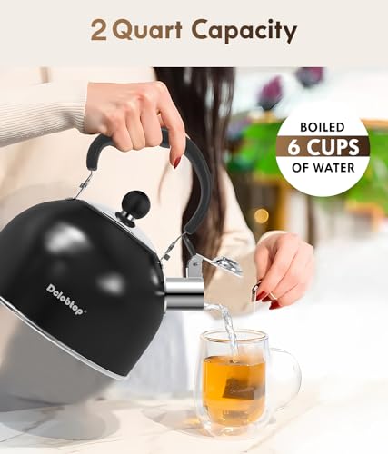 Premium Stainless Steel Tea Kettle for Stove Top - 2 Quart Capacity, Efficient Heating, Audible Whistle, Safe Handle - Ideal for Hot Water & Tea(black)