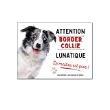 Plaque Border Collie merle humour chien lunatique panneau humour je monte la garde pancarte aluminium
