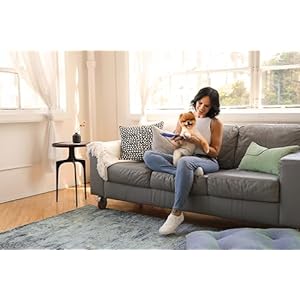 Andis66745easyclip2speedpetnailgrinderpurple  Cucciolini Doodles   cucciolini doodles