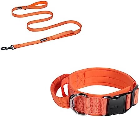 Set De Collar Y Correa Para Perros Pequeños Y Medianos – Correa De 1,5 M Con Asa Acolchada Y Collar Ajustable 36–61 Cm, Nailon Resistente, Diseño Floral Rosa