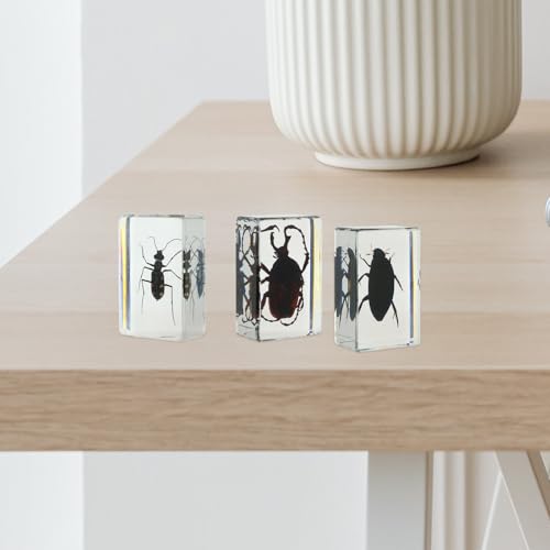 Insectos en resina para escuelas que buscan material irrompible 6