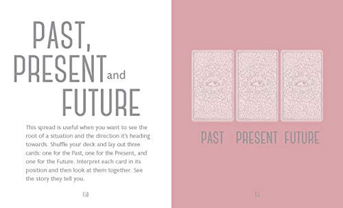 image for Orange Hippo! The Little Book of Tarot: An Introduction to Everything 