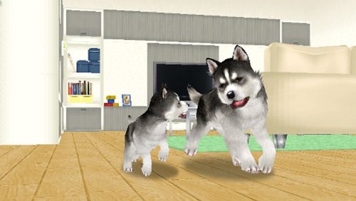 Petz Dogz Family - Sony Psp #TOP1