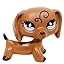 Duchshund #640 Duchshund #640