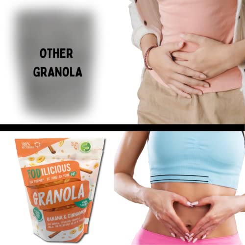 Fodilicious Granola Banana & Cinnamon - Low Fodmap Granola, Gluten Free, Vegan & Plant-Based, Allergen Free, Nut Free Granola Low Calorie Breakfast Cereal 3 X 360G #TOP5