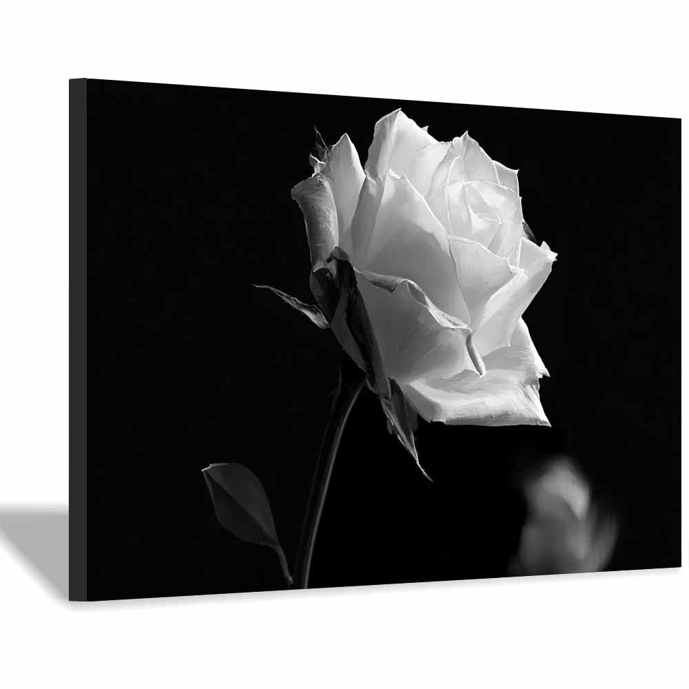 HOQIU Black And White Pictures For Walls Minimalist Whites Ros prints for walls, canvas wall art, for Living Room Bedroom Bathroom Home Office Wall Decoration(Multicolor)-70x100cm Framed