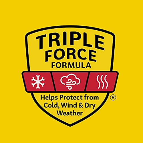 Carmex Medicated Lip Balm Jars, Lip Moisturizer For Dry, Chapped Lips, 0.25 Oz - 3 Count (3 Pack) #TOP1