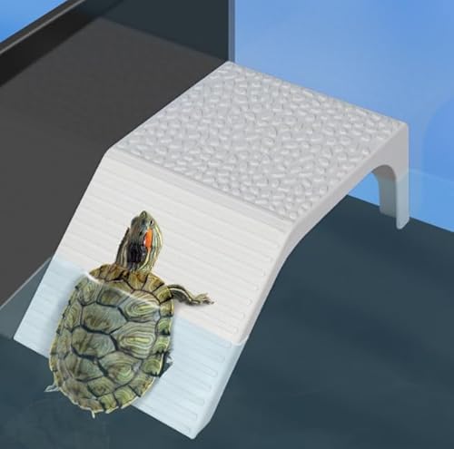 PAVIKET nySzT  T Ki vbgtH[AVN̑ANZT[AX[vA^঒ށAJGAJȂǂɓK