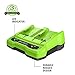 Greenworks 24V 4.0Ah USB Battery (2-Pack) Starter Kit + Dual Port Rapid Charger (Genuine Greenworks Parts)