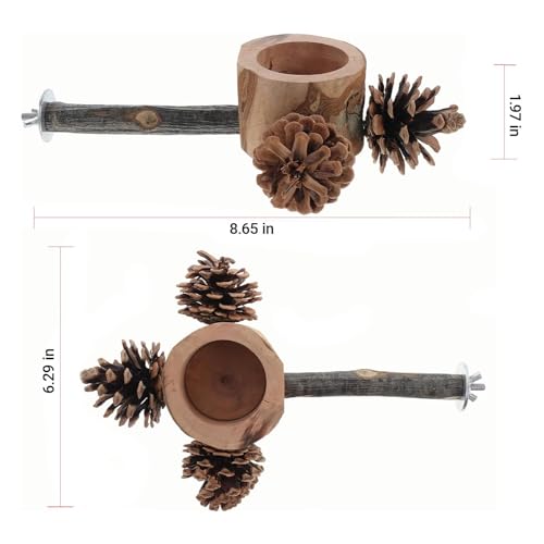 Bird Perch with Feeder for Cage & Chew Toys Pinecones - Bird Cage Accessories 100% Natural & Durable for Cockatiel, Conure, Budgie, Lovebird, Parakeet - Parrot Food Treats Bowl for Foraging - Image 5
