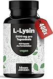 L-Lysin hochdosiert - 400 Kapseln mit 2000mg pures L Lysin pro Tagesportion. Aus pflanzlicher Fermentation - Kapseln - Vegan und produziert in Deutschland - Verpackung...