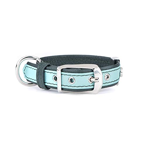 MyFamily 1253 Collar 37Cm-50Cm-2,8Cm Piel Verde Claro L Bronce Blanco 1000 g