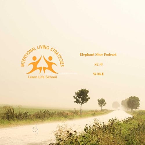 Woke Generation - An oldies perspective