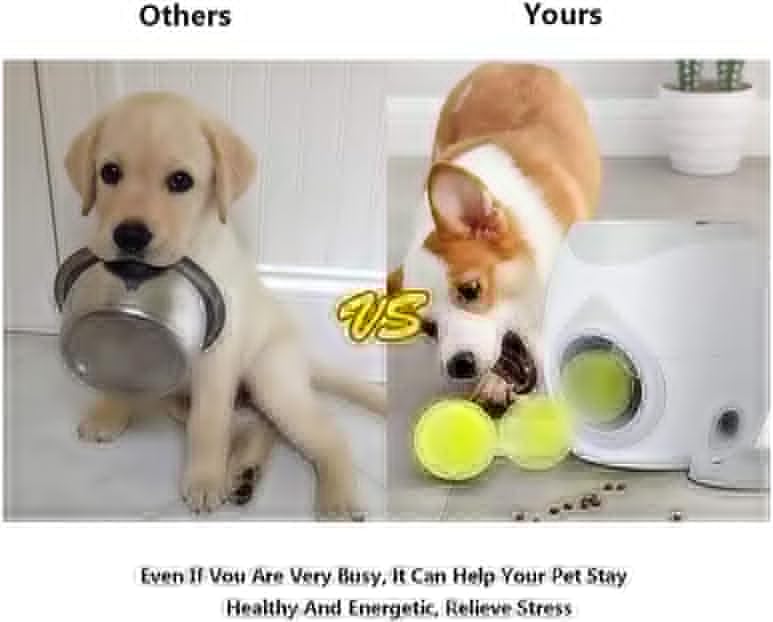Lanciatore automatico per palline per cani con vassoio piatto per alimentazione interno Lanciatore di palline da tennis per cani con 2 palline Giocattoli interattivi per cani per cani e cuccioli